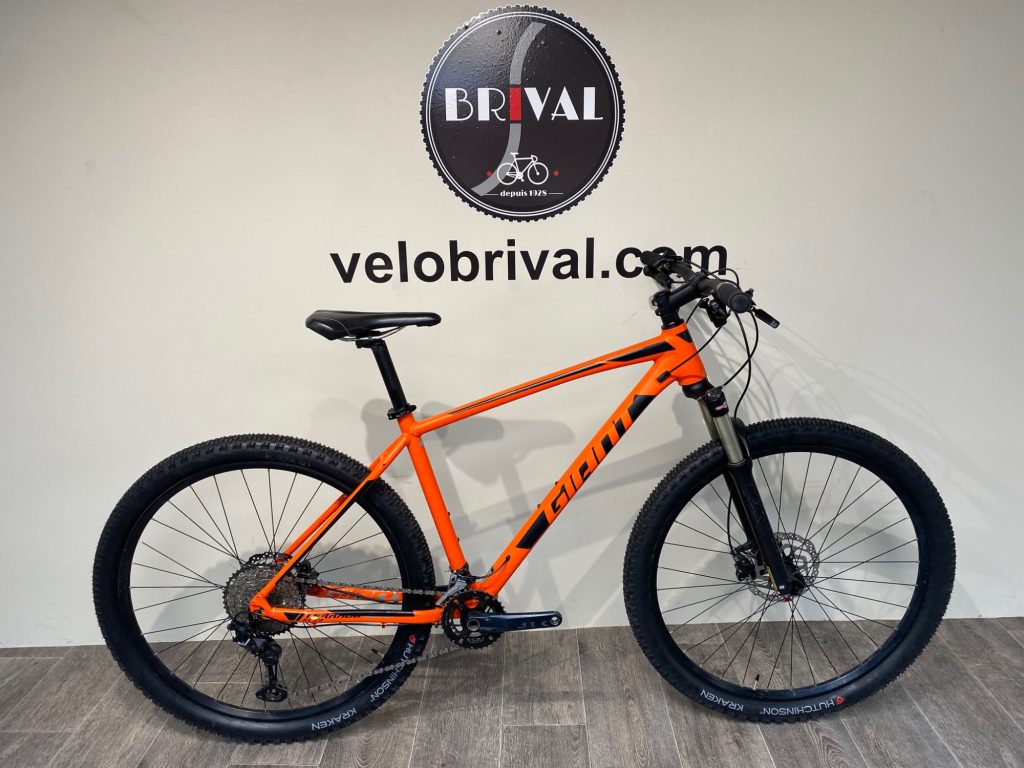 Giant TERRAGO 29 2 2020 VeloBrival